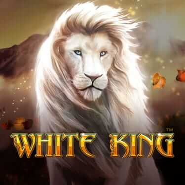 White King